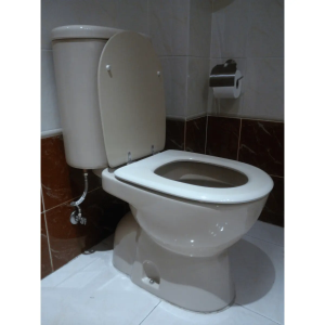 Tapa WC Compatible Domo de Sangrá - Imagen 2