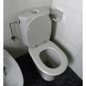 Tapa WC Compatible Domo de Sangrá - Imagen 5
