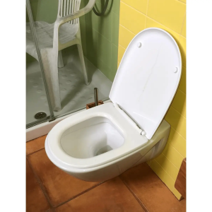 Tapa WC Compatible Europa suspendido de Sangrá - Imagen 2