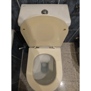 Tapa WC Compatible Stella de Sangrá - Imagen 5