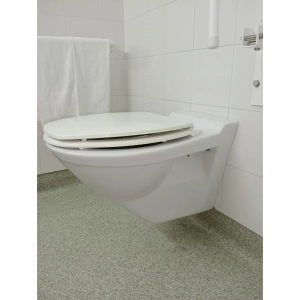 Tapa WC Compatible Suspendido de Sangrá - Imagen 3