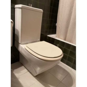 Tapa compatible Wc Duroplast Proa de Sangrá blanca - Imagen 3