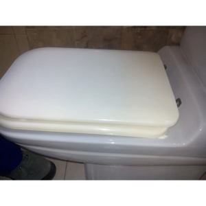 Tapa Wc compatible Astros de Jacob delafon - Imagen 7