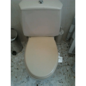Tapa Wc compatible Neptuno de Jacob delafon - Imagen 3