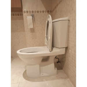 Tapa Wc compatible Odeon de Jacob delafon - Imagen 5