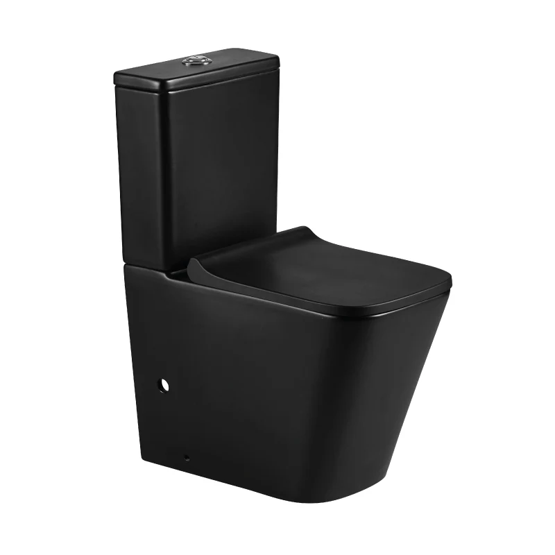 PISANM3_1800x1800 Inodoro negro mate rimless con salida dual y tapa de cierre amortiguado PISA Aquore - Imagen 1