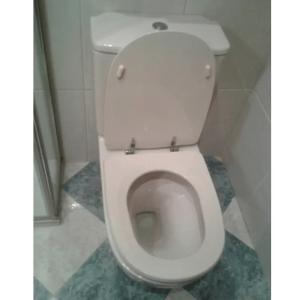 Tapa Wc compatible Antares de Jacob delafon - Imagen 4