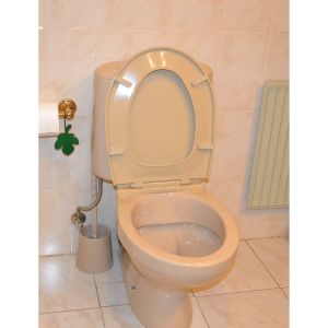 Tapa Wc compatible Apolo de Jacob delafon - Imagen 5