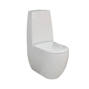Tapa Wc compatible Nautilus de Valadares