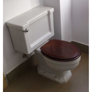 Tapa Wc compatible Compacto de Roca