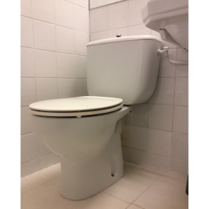 Tapa Wc compatible Victoria de Roca - Imagen 3
