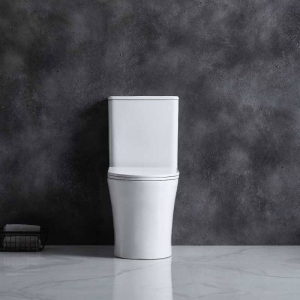 Inodoro cerámica Paris cisterna baja blanco brillo - Imagen 3