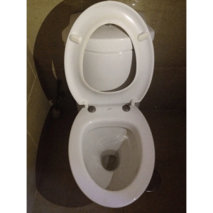 Tapa wc compatible Expression de Ideal Standard - Imagen 7