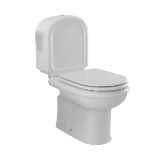 Tapa Wc compatible Regina de Sanitana
